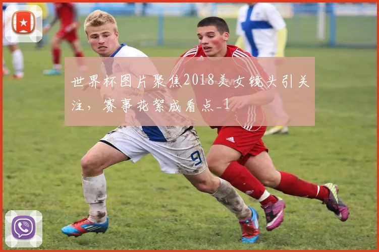 世界杯图片聚焦2018美女镜头引关注，赛事花絮成看点_1