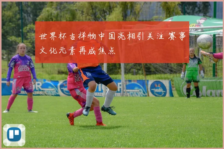 世界杯吉祥物中国亮相引关注 赛事文化元素再成焦点
