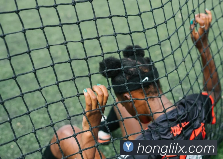 mksports官方登录入口服务体系