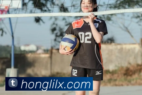 爱游戏ayx平台官网服务体系